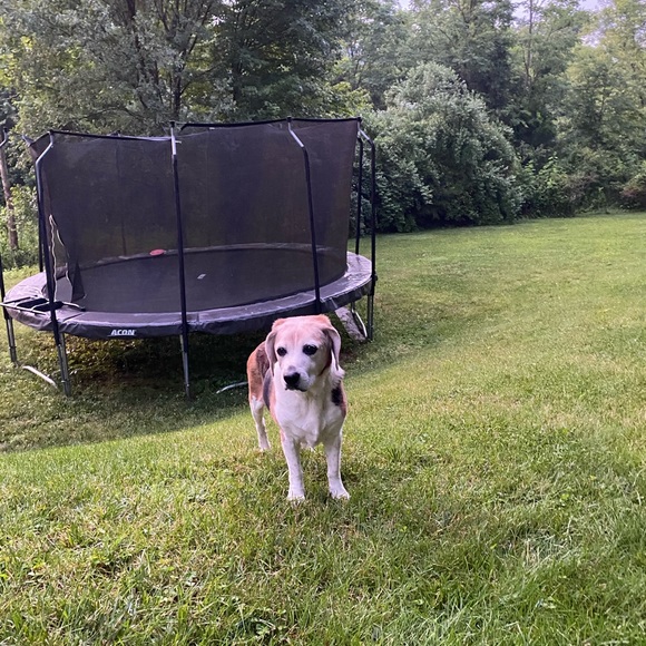 Meet your Posher, Jenn - Picture 3 of 3